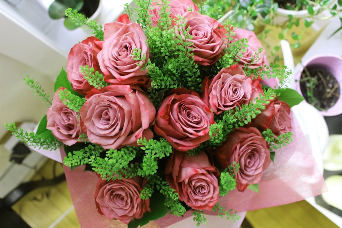 Rose Boxes