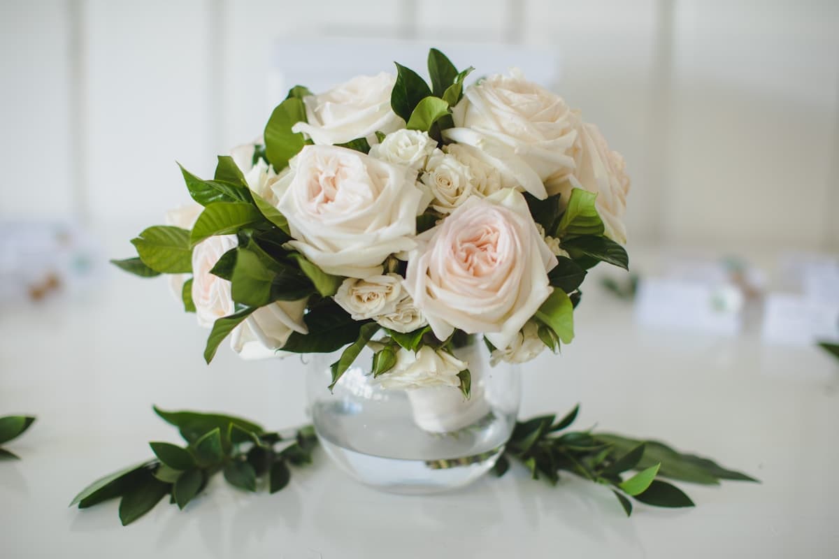 Sympathy & Funeral Roses